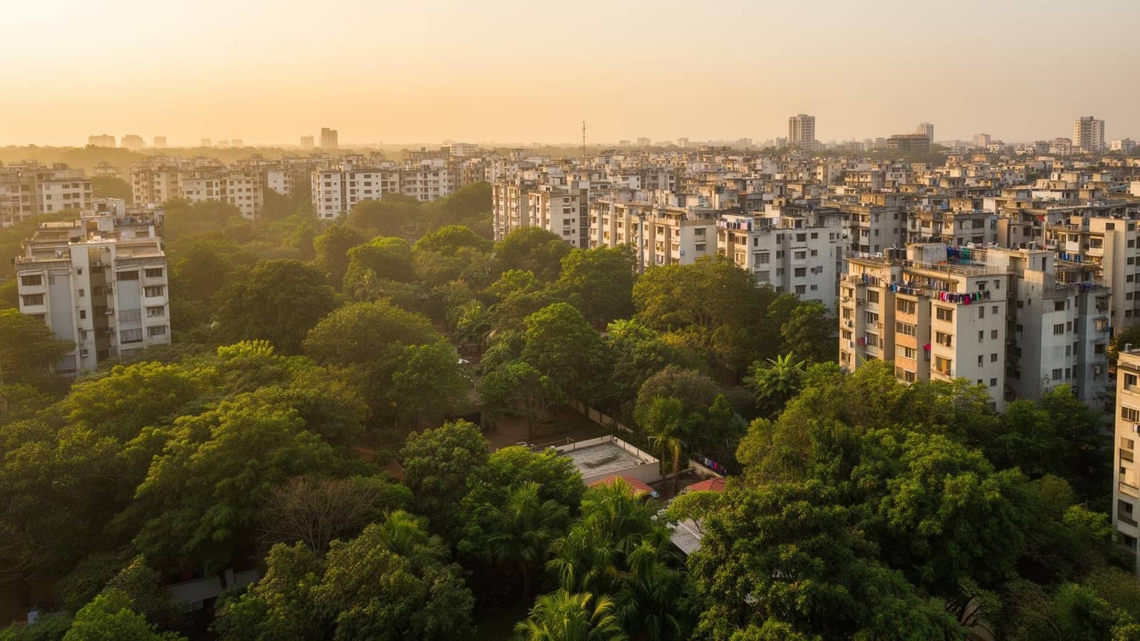Free laundry pickup and drop within 5 km in South Bangalore